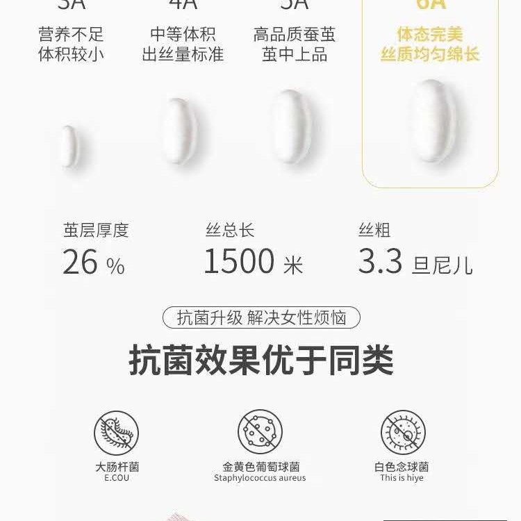 蚕丝抑菌女士内裤812