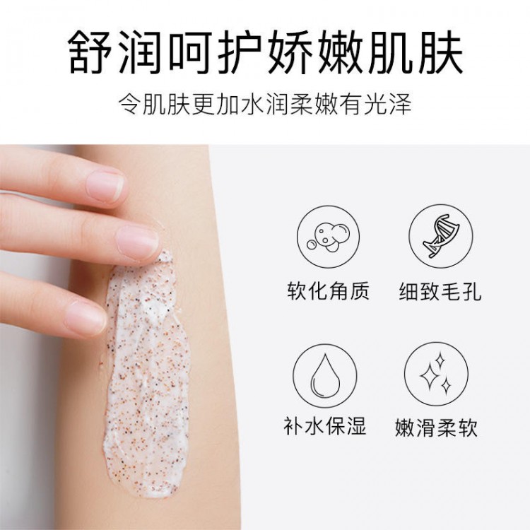 乳木果身体磨砂膏21804